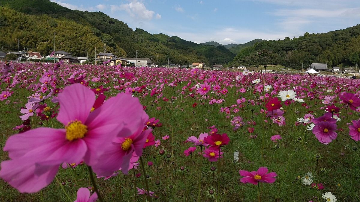 医療法人社団正心会の写真