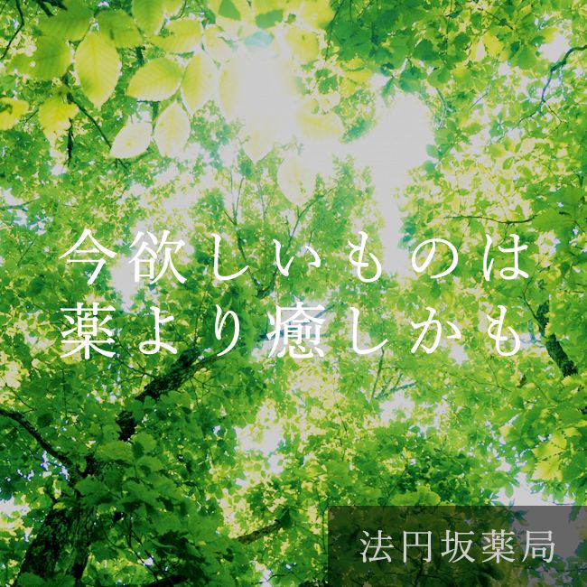 株式会社フィロソフィアの写真