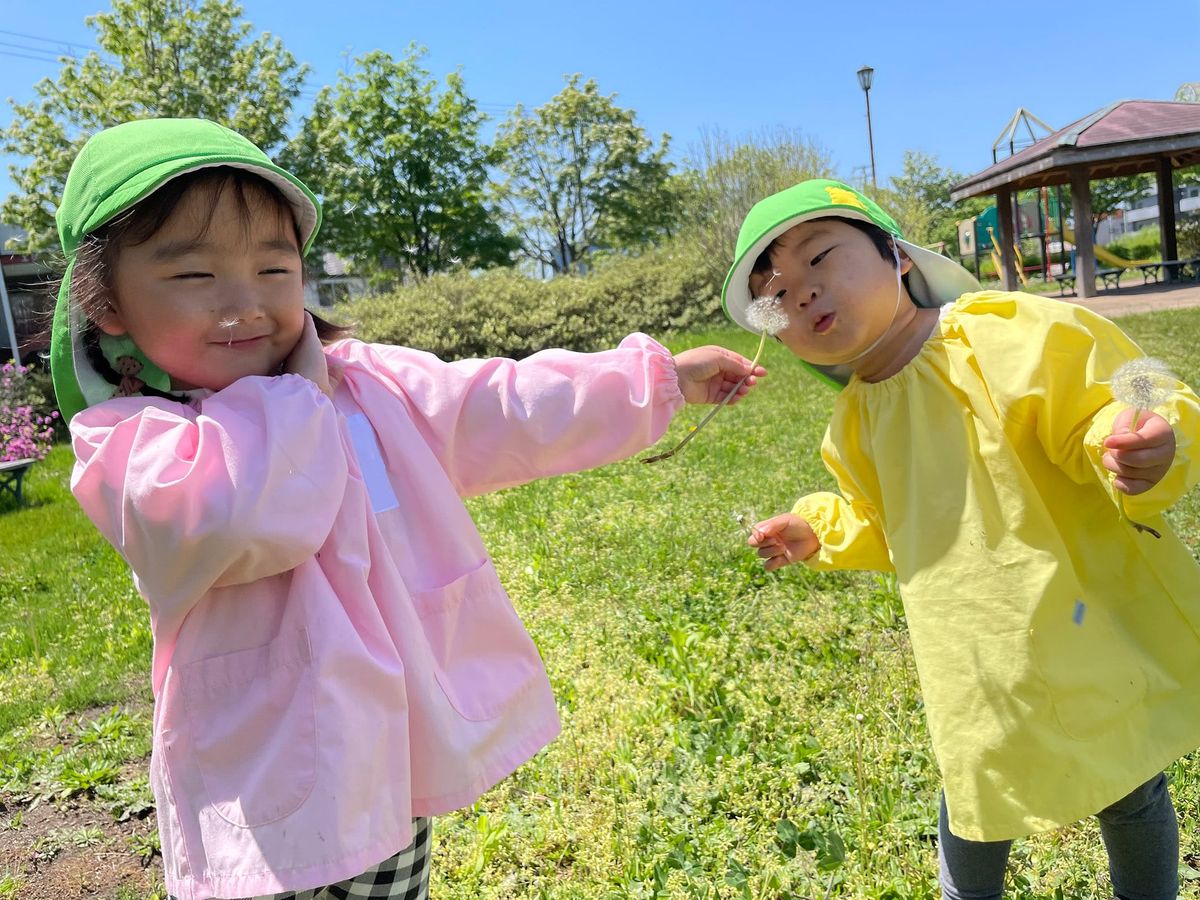 学校法人和順学園の写真
