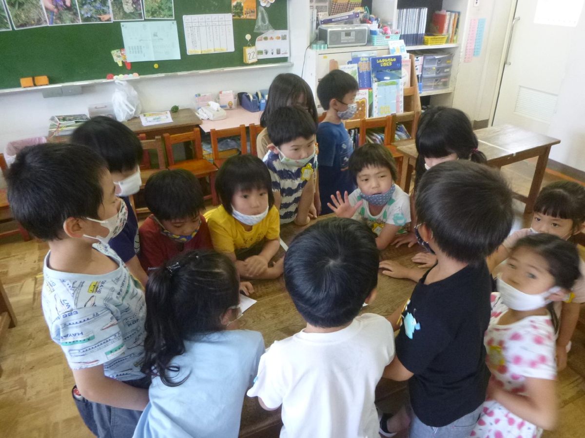 学校法人柏学園の写真