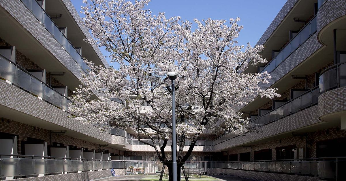 医療法人社団慈誠会の写真