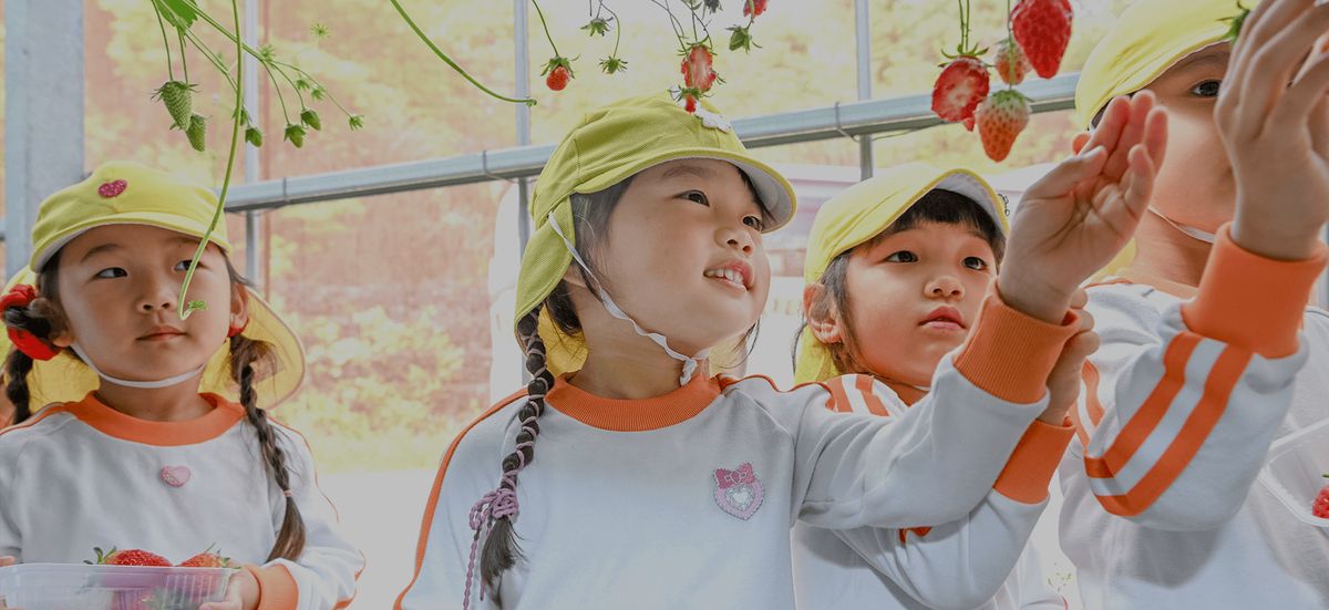 株式会社BellKidsの写真