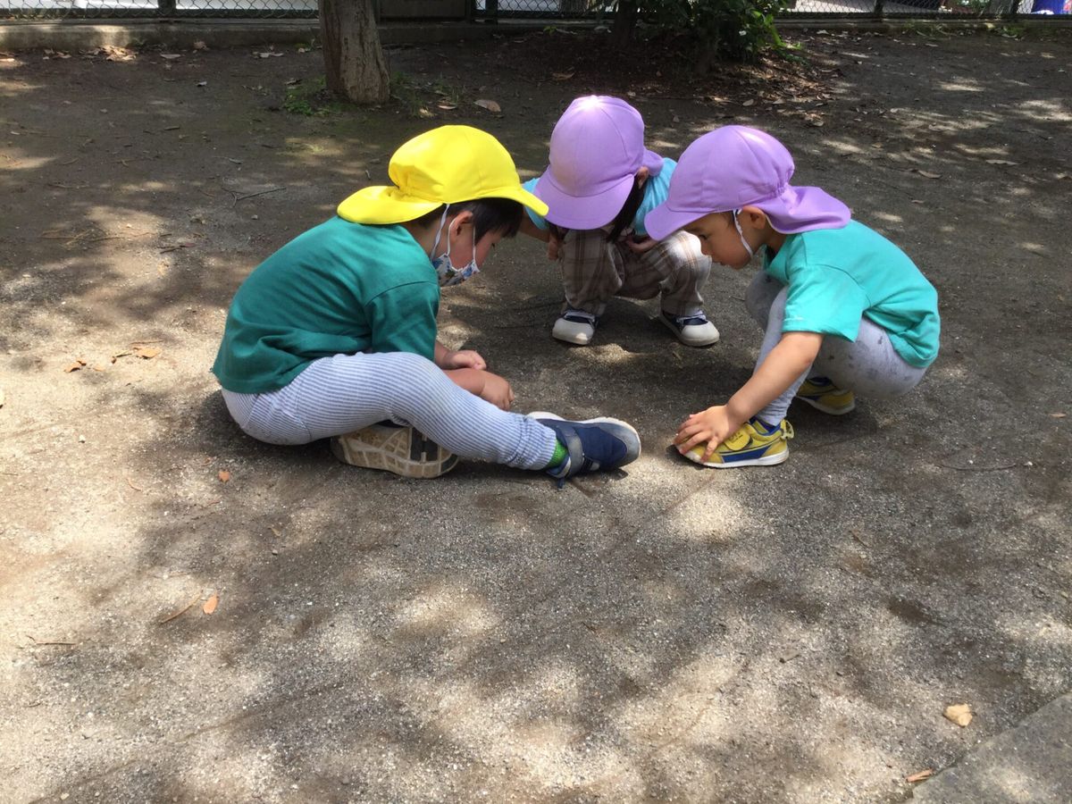 feliceフェリーチェ 大田馬込園