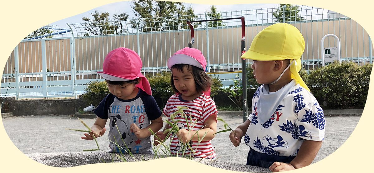特定非営利活動法人ベイキッズの写真