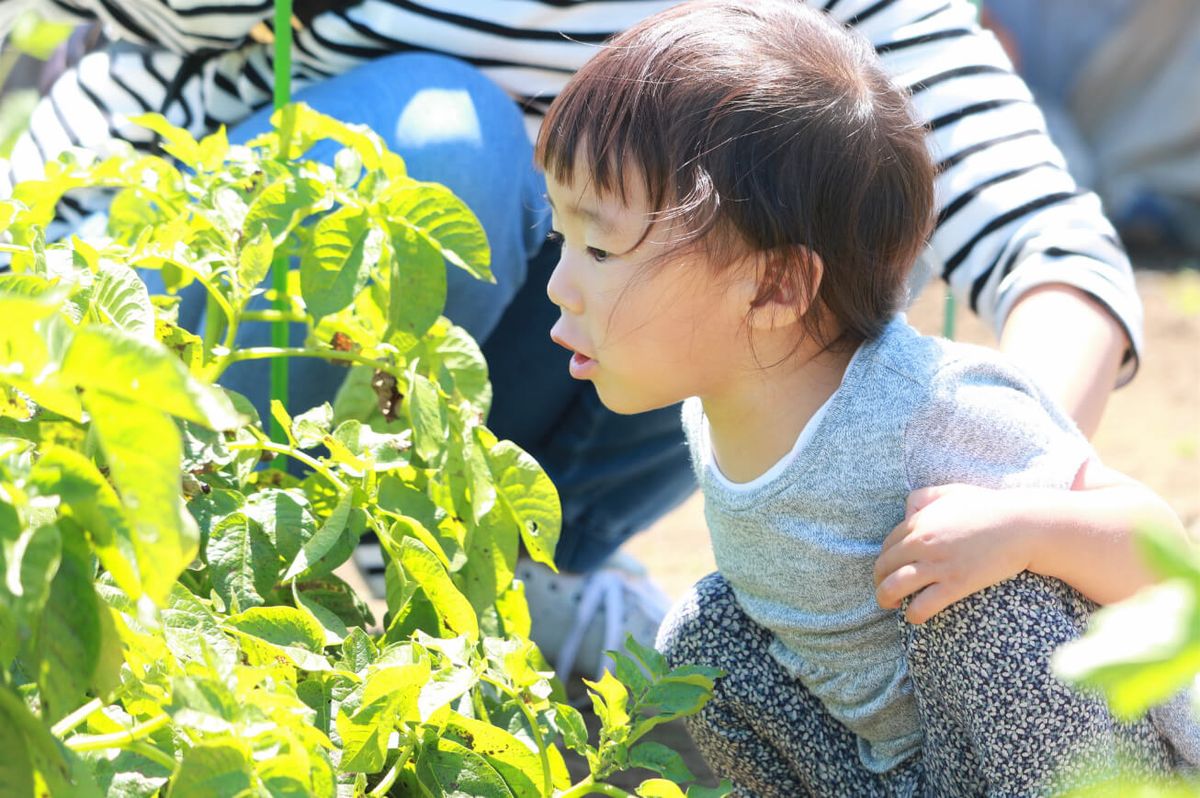 株式会社BORN　くうとぴあ保育園の写真