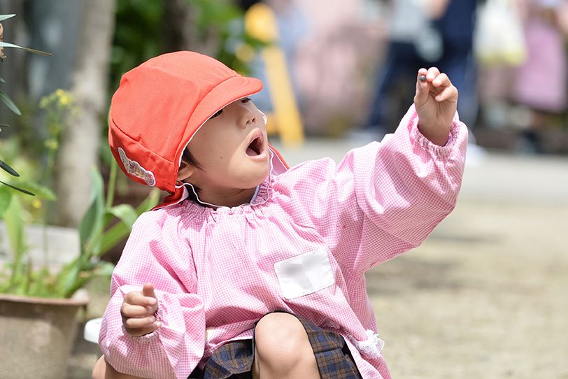 牧野幼稚園の写真