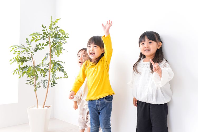 株式会社ゆいぴよの写真