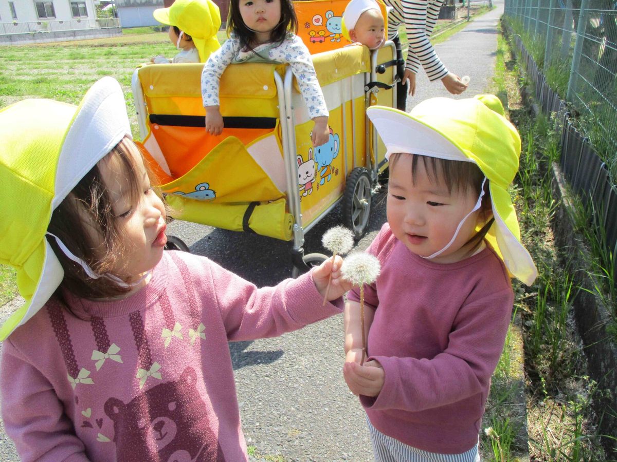 治田くじら小規模保育園の職場の様子