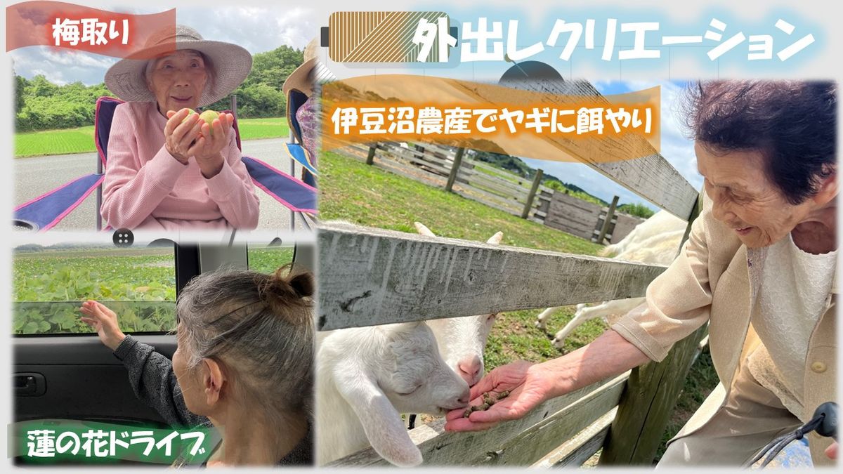株式会社ケア・ライフ・フェイスの写真