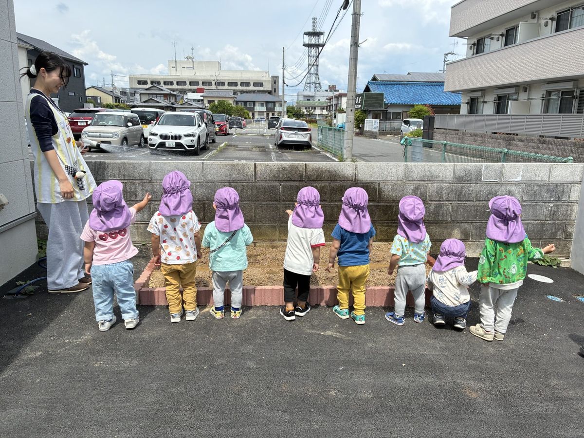 栗東くじら小規模保育園の職場の様子
