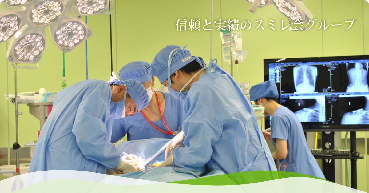 社会福祉法人すみれ福祉会の職場の様子