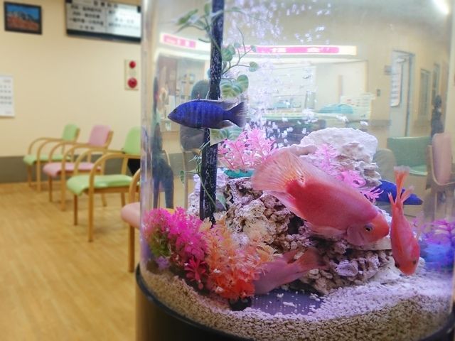 社会福祉法人聖愛会の写真