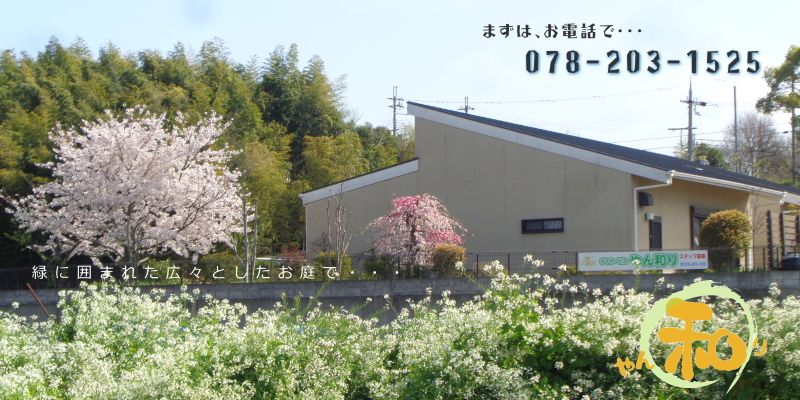株式会社プティタプティの写真