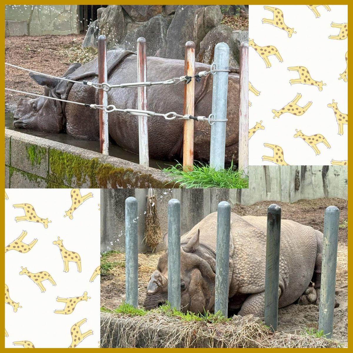 株式会社チャンスグループの写真
