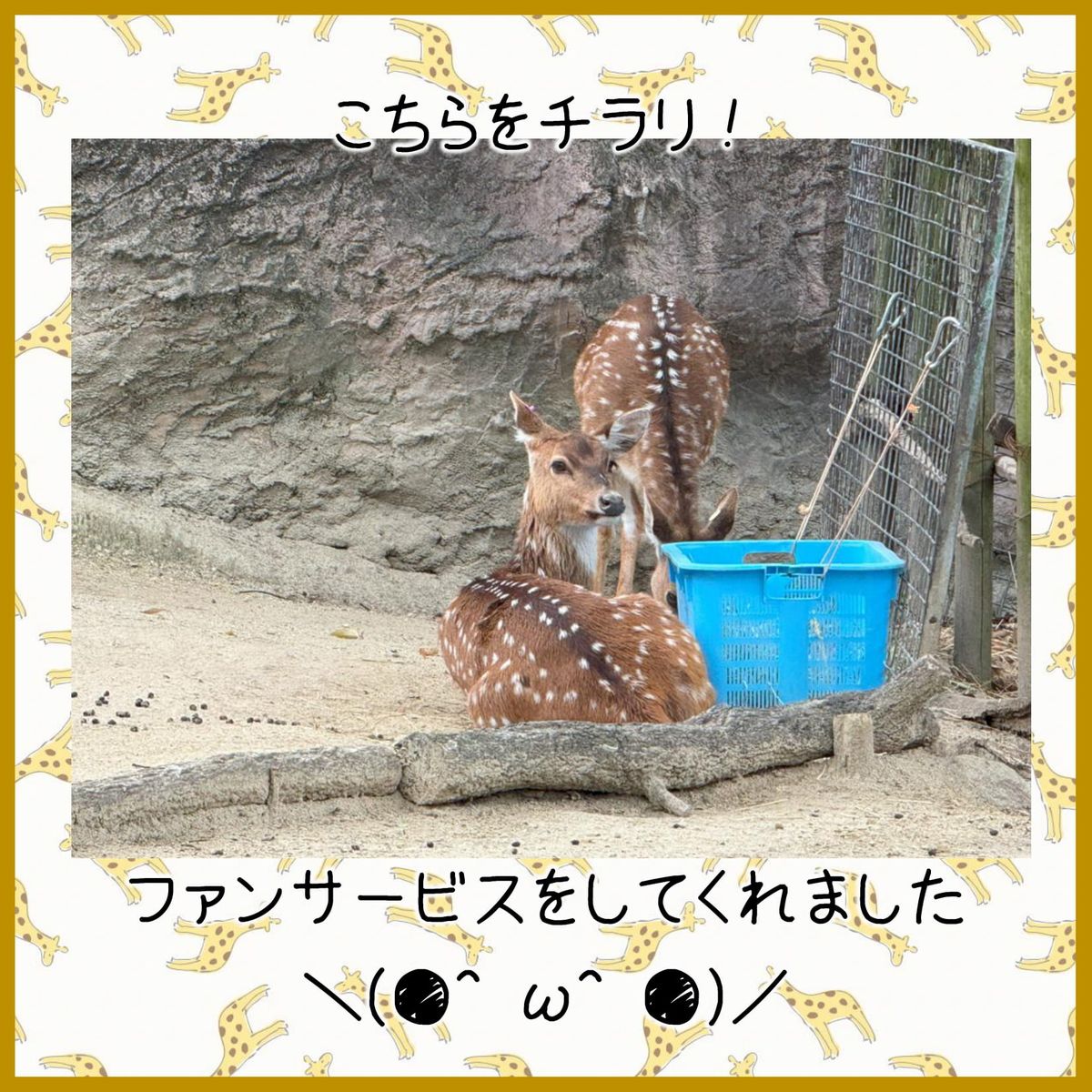 株式会社チャンスグループの写真