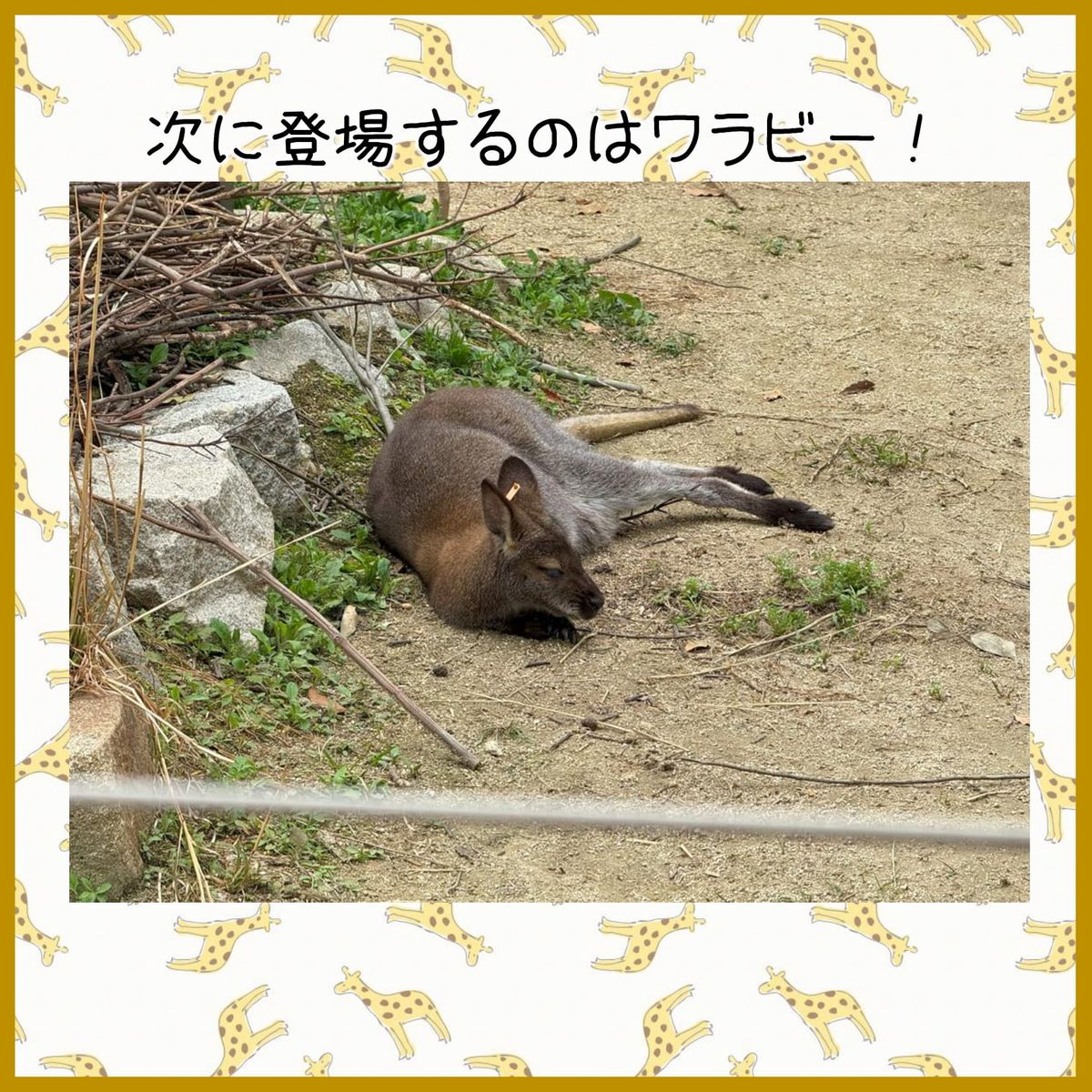 株式会社チャンスグループの写真