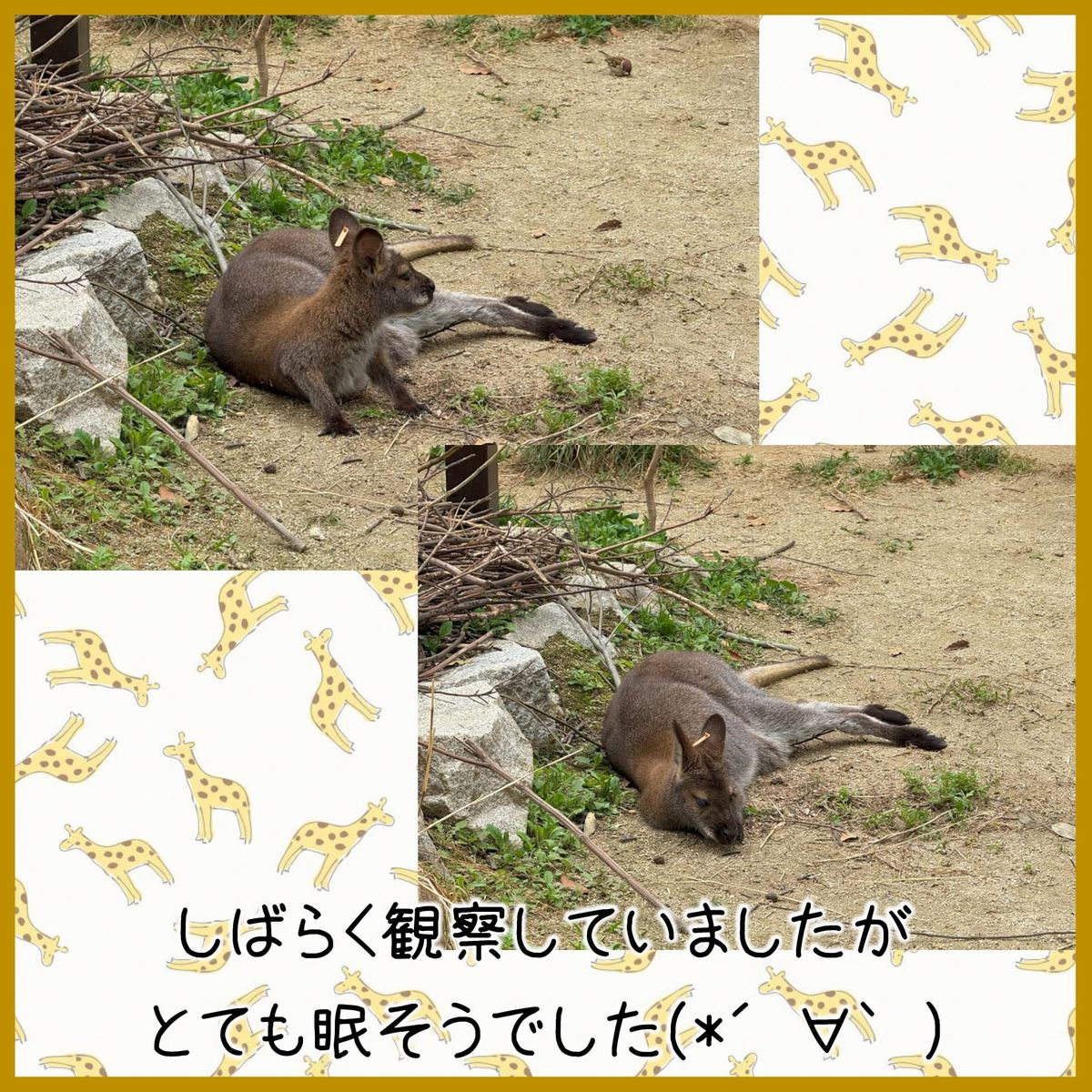 株式会社チャンスグループの写真