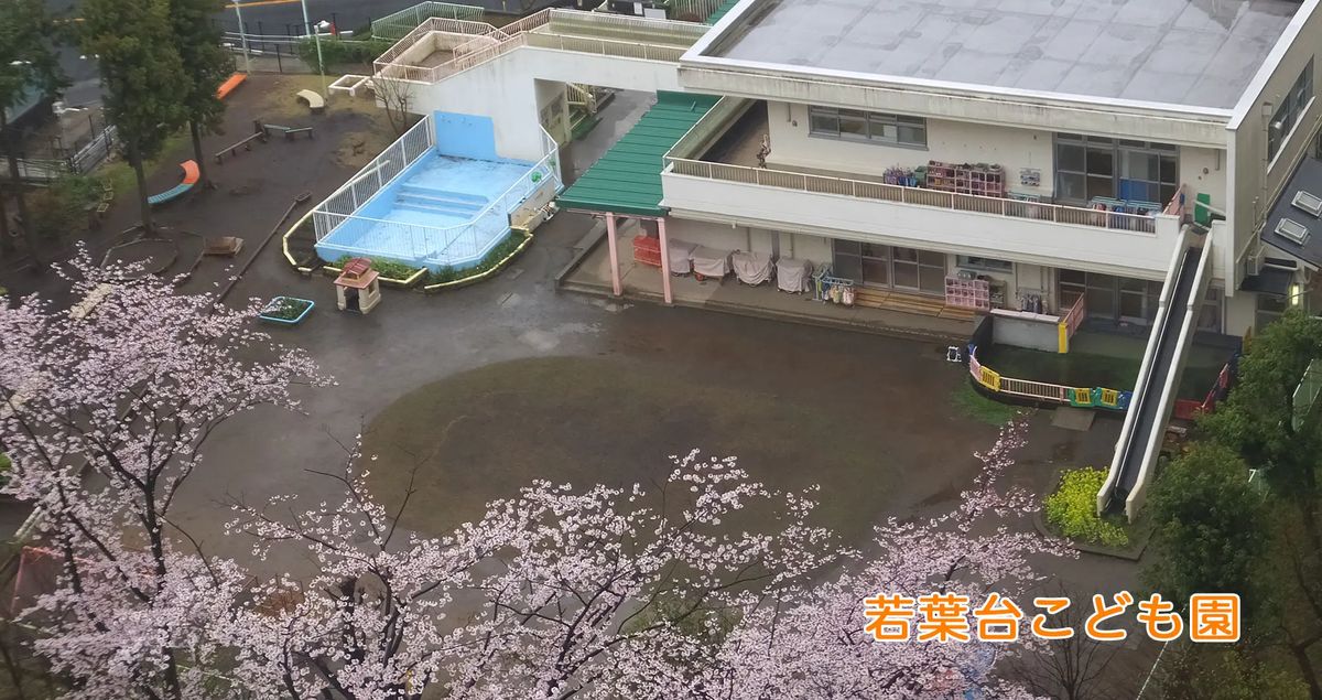 社会福祉法人山百合会の写真