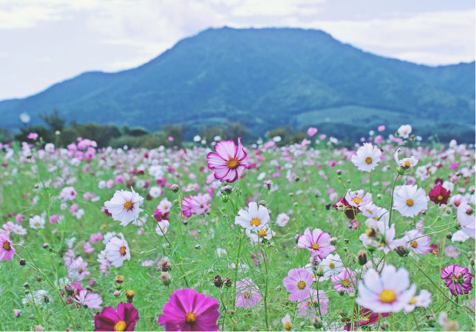 潟東けやき病院の写真