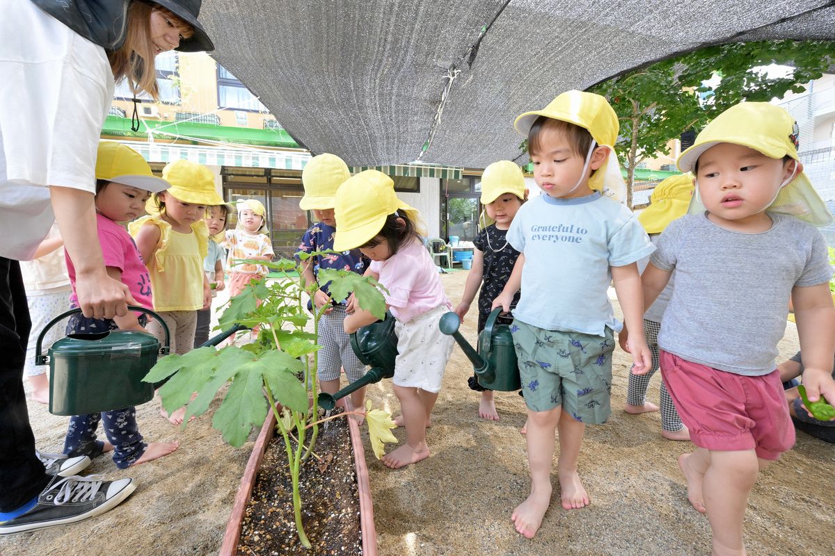 千里山くじら保育園の写真