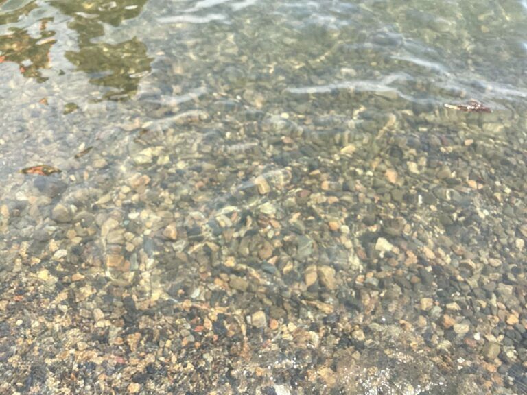 琵琶湖遊び！！