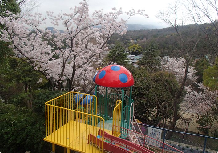学校法人雲雀丘学園の写真
