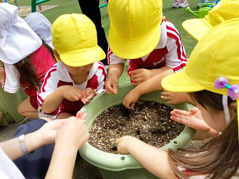 学校法人谷塚幼稚園の写真